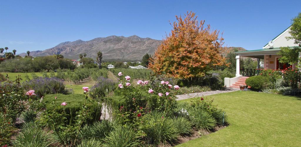 Montagu Vines Guesthouse Exterior photo