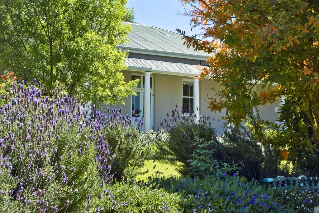 Montagu Vines Guesthouse Exterior photo